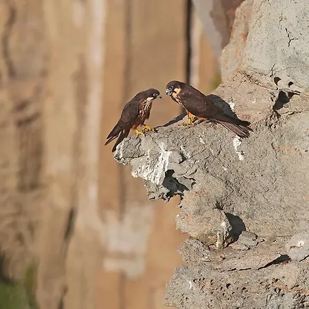 Bed & Breakfast Alba