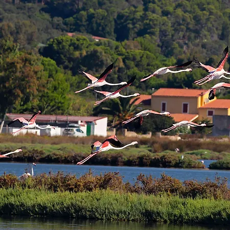 Alba Carloforte (Isola di San Pietro)